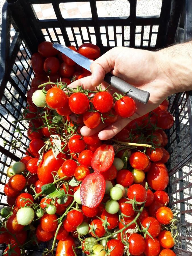Agriturismo Il Pettirosso Аджерола Екстериор снимка